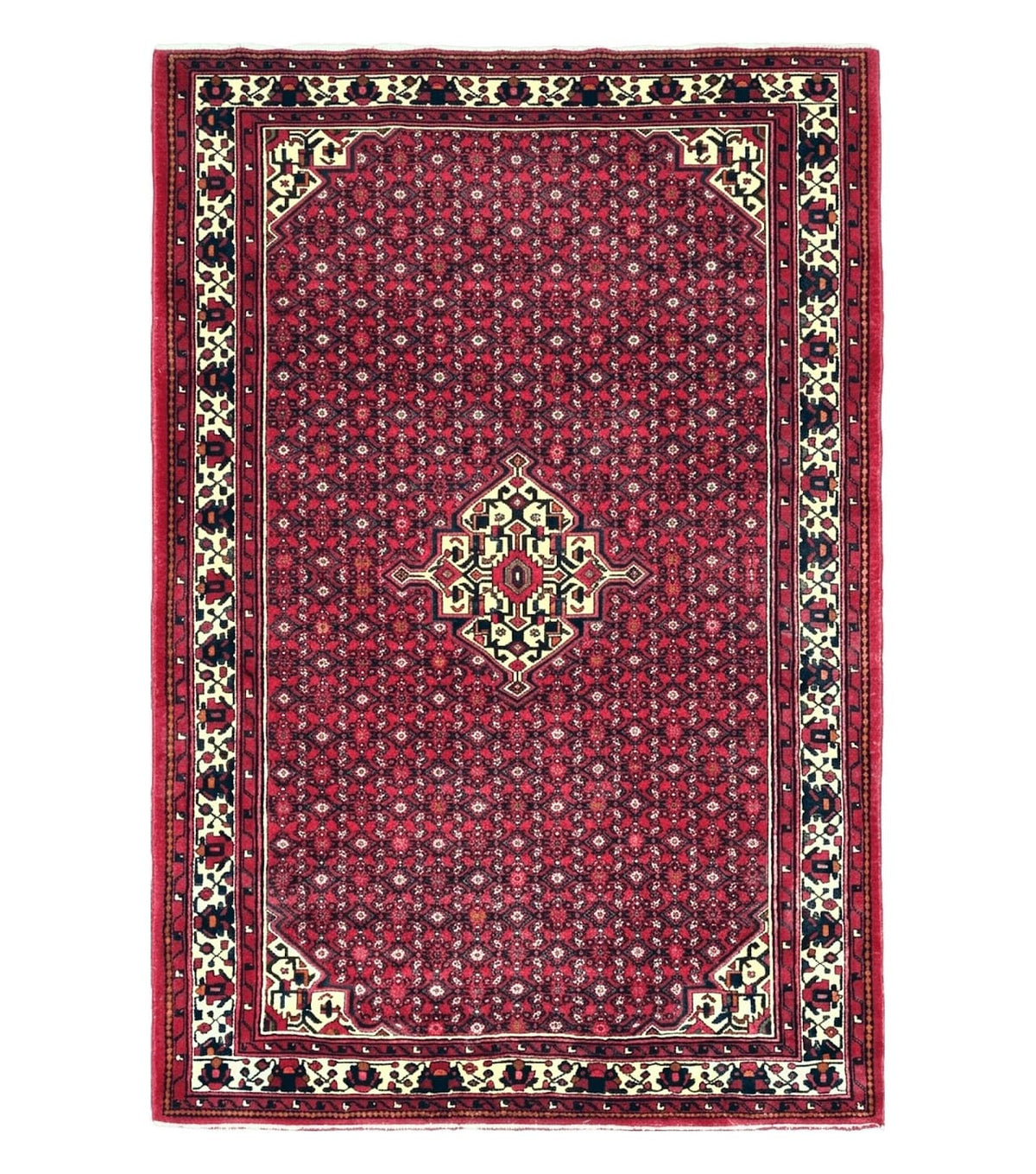 Vintage Persian Hamedan Rug 7x10, Angelas Mahi Pattern, Red, Wool, Hand-Knotted - Jewel Rugs