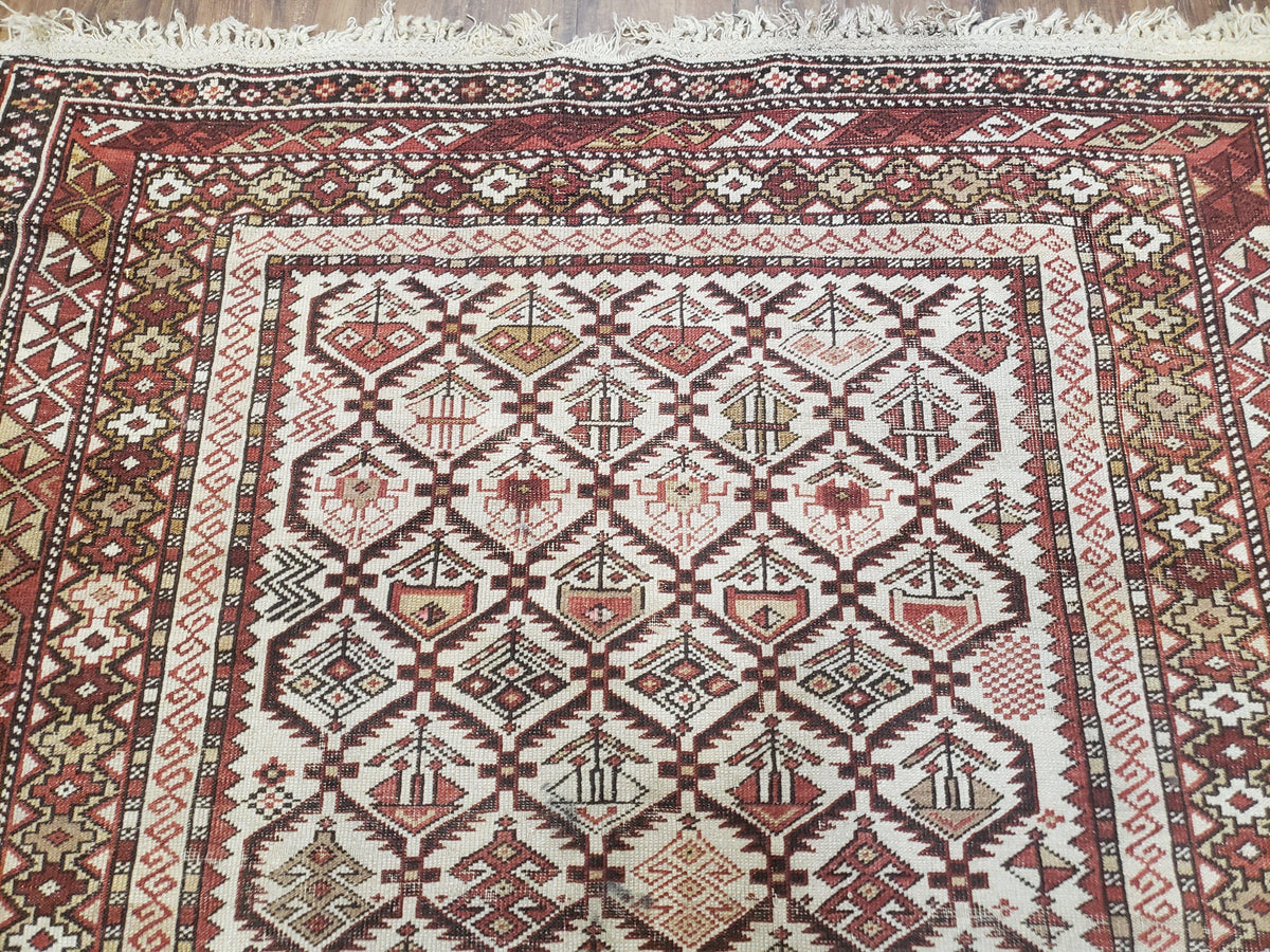 Antique Caucasian Shirvan Rug 4x6, Dagestan Area Rug, Wool Hand-Knotted Soft Red & Ivory 1920s Oriental Carpet, Soft Muted Colors - Jewel Rugs, view 4