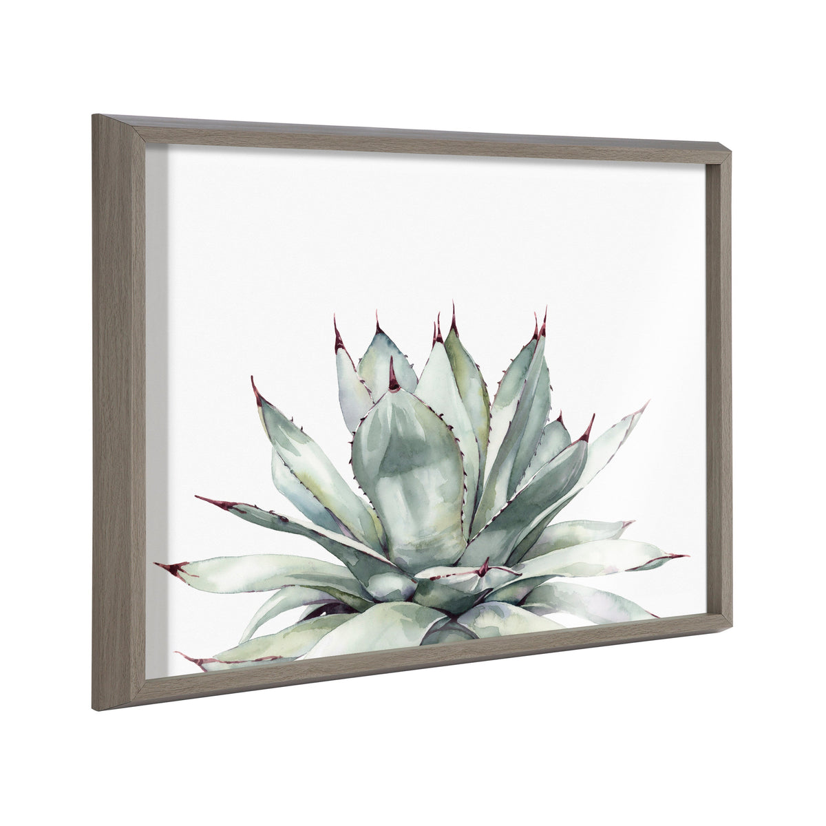 Blake Parrys Agave Framed Printed Glass by Emily Marie Watercolors
