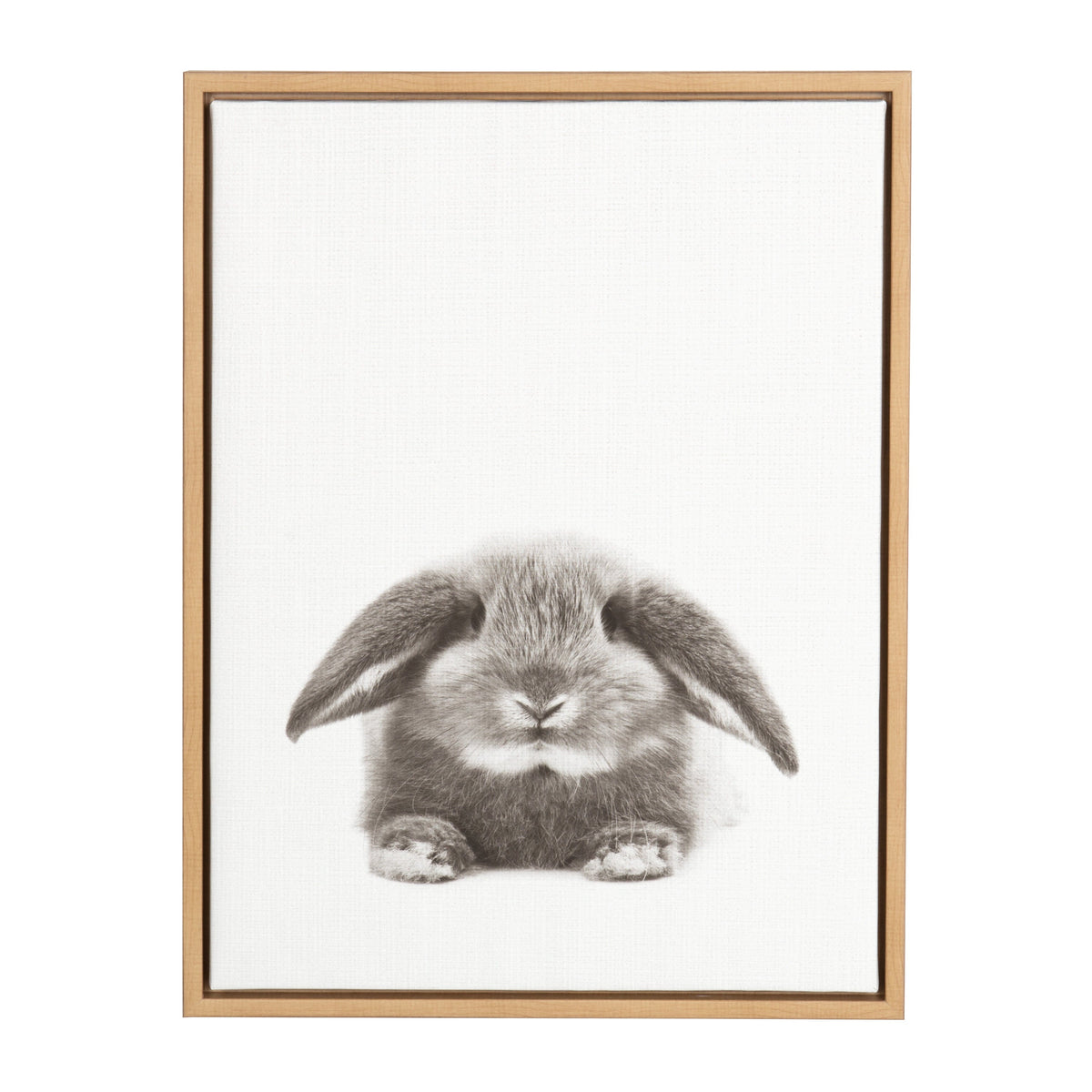 Sylvie Rabbit Framed Canvas by Simon Te of Tai Prints