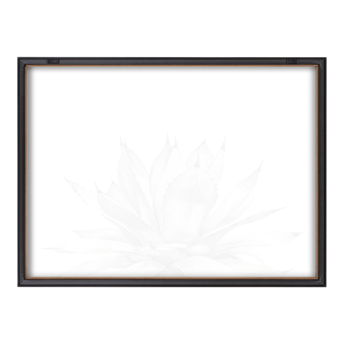 Blake Parrys Agave Framed Printed Glass by Emily Marie Watercolors