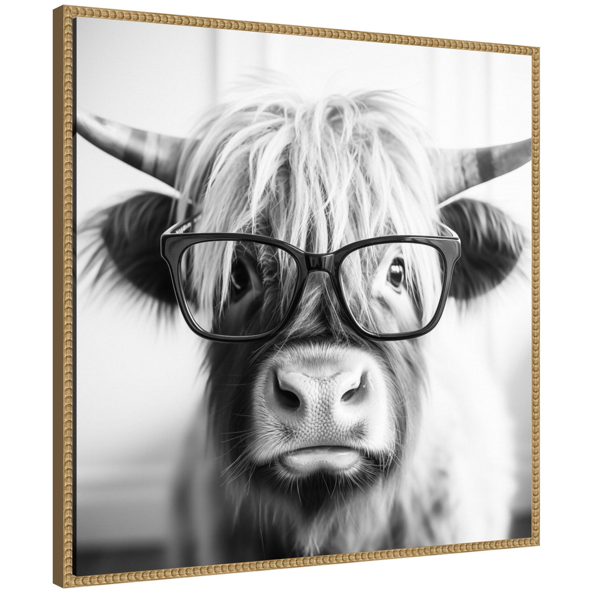 Sylvie Black and White Highland Cow in Reading Glasses Framed Canvas by The Creative Bunch Studio
