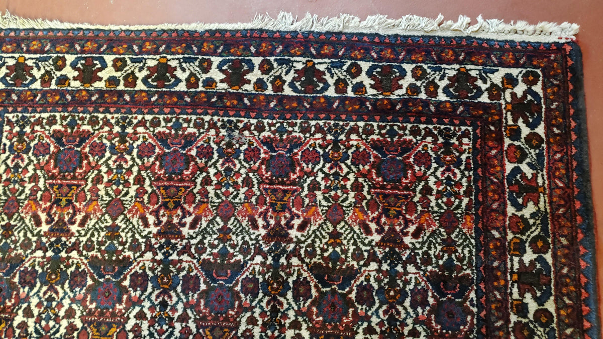 Persian Afshar Rug 3.6 x 5, Zili Sultan Pattern, Wool - Jewel Rugs, view 8