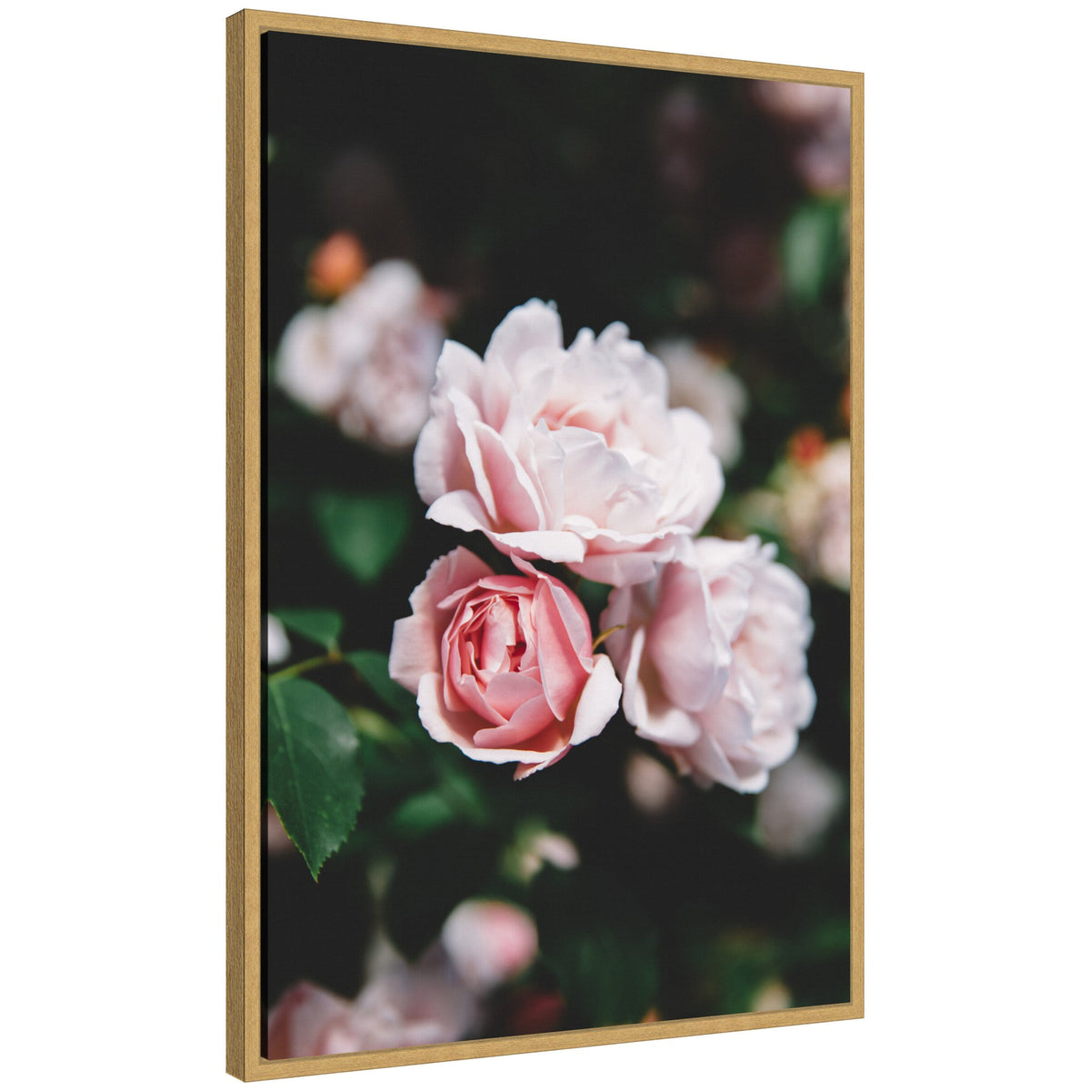 Sylvie Delicate Light Pink Rose Floral Framed Canvas by Patricia Hasz