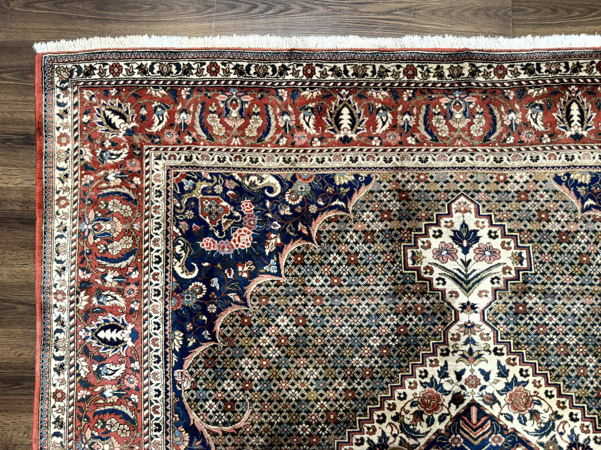 Persian Rug 7x10, Bakhtiari Saman Rug, Unique Design and Colors, Ivory Red Blue, Large Tribal Rug - Jewel Rugs, view 6
