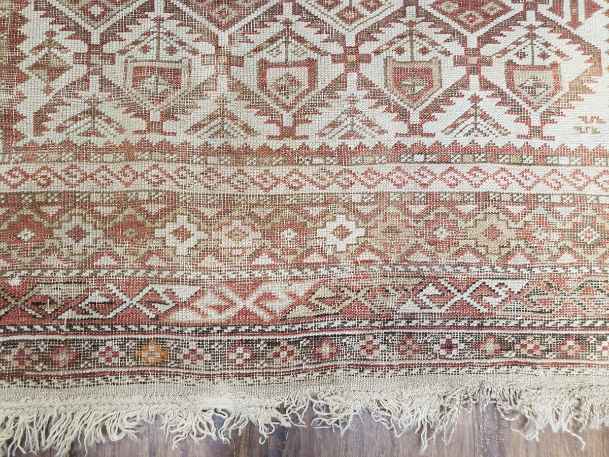 Antique Caucasian Shirvan Rug 4x6, Dagestan Area Rug, Wool Hand-Knotted Soft Red & Ivory 1920s Oriental Carpet, Soft Muted Colors - Jewel Rugs, view 13
