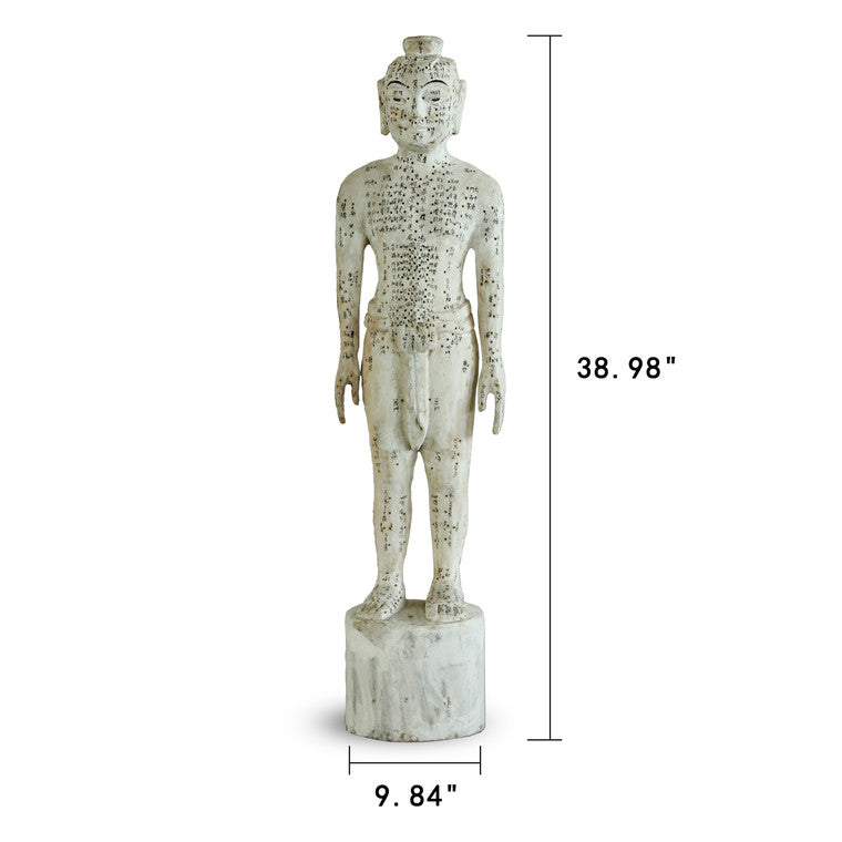Acupuncture Male Figure Model Antique White Approx. 40"H image 3
