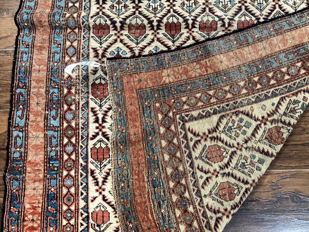 Antique Caucasian Rug 4x6, Hand Knotted Wool Carpet, Shirvan Rug - Jewel Rugs, view 11