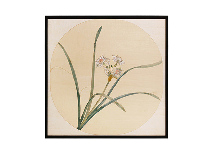 Orchid image 2