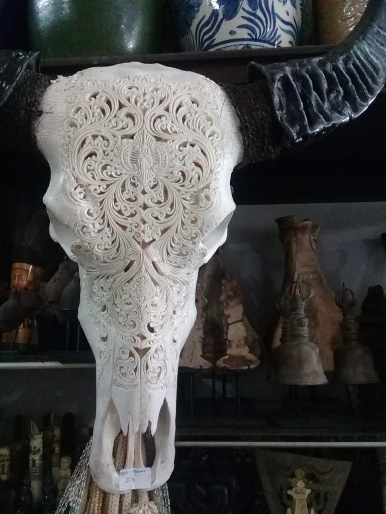 Approx. 20" High Genuine Bull Skull with Carving (size varies)