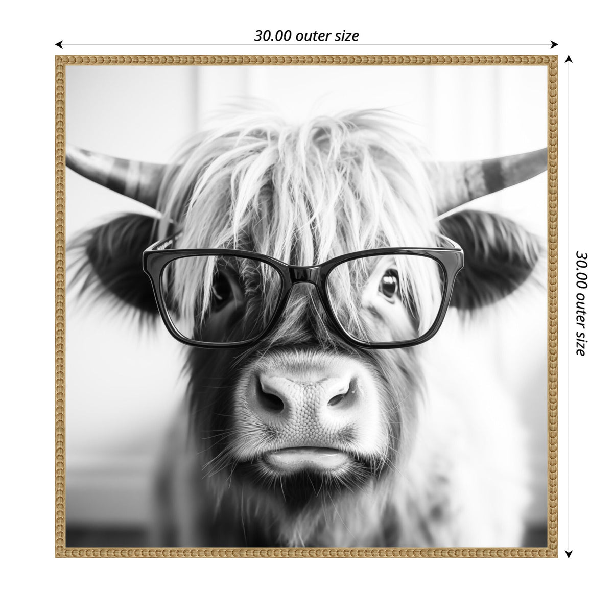 Sylvie Black and White Highland Cow in Reading Glasses Framed Canvas by The Creative Bunch Studio