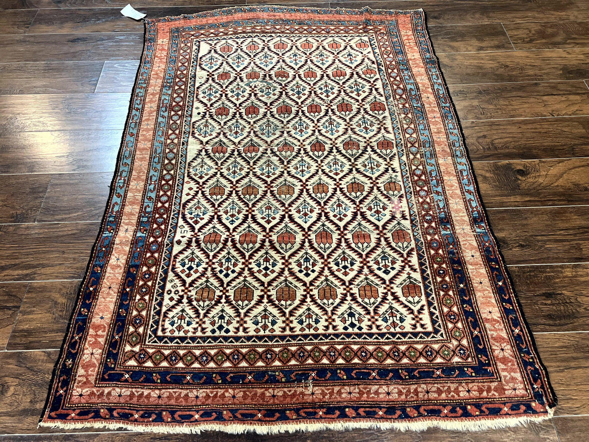 Antique Caucasian Rug 4x6, Hand Knotted Wool Carpet, Shirvan Rug - Jewel Rugs, view 2