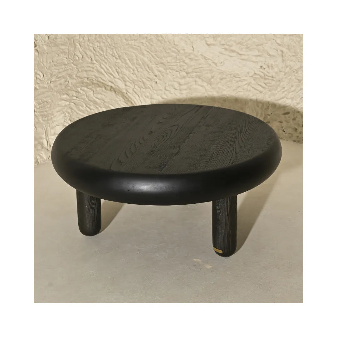 Manjari Coffee Table image 2