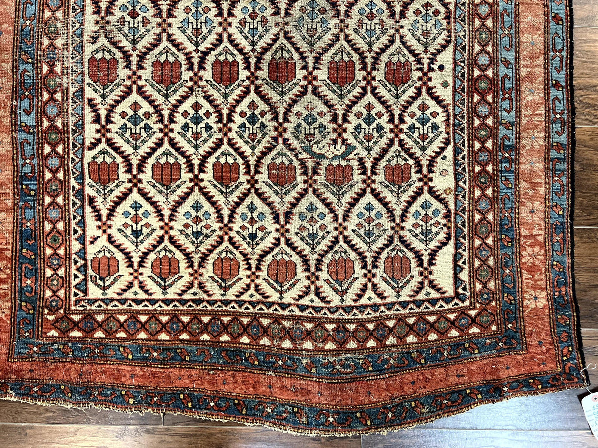 Antique Caucasian Rug 4x6, Hand Knotted Wool Carpet, Shirvan Rug - Jewel Rugs, view 6