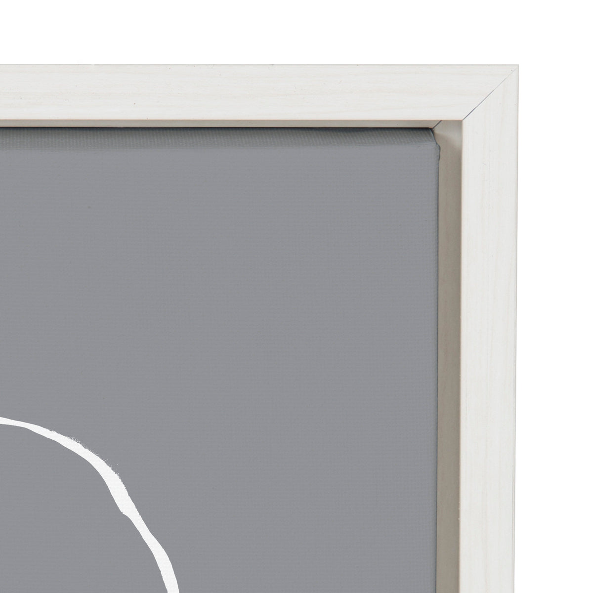 Sylvie Gray Going in Circles Framed Canvas Set by Teju Reval
