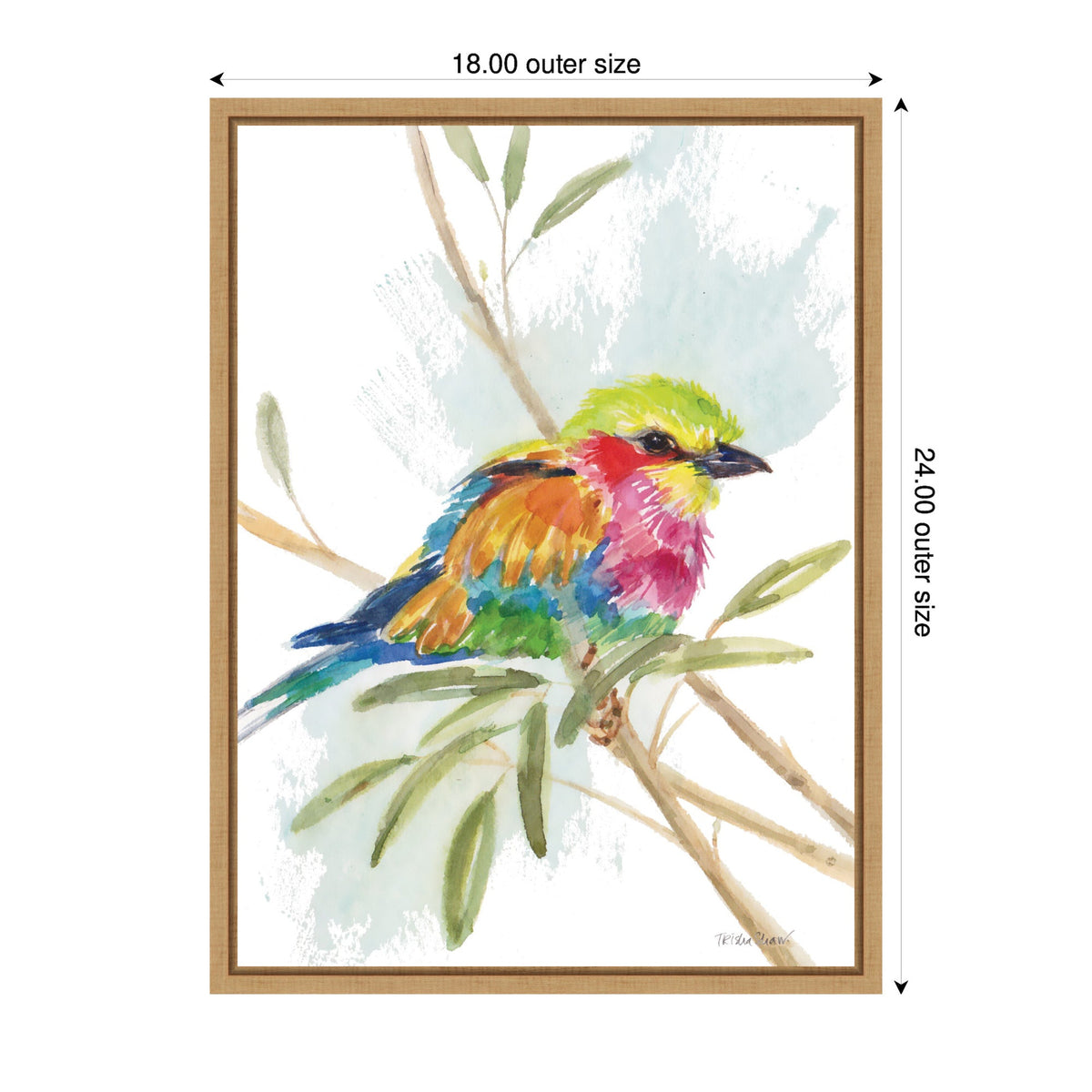 Bright Bird by Patricia Shaw Framed Canvas Wall Art Print