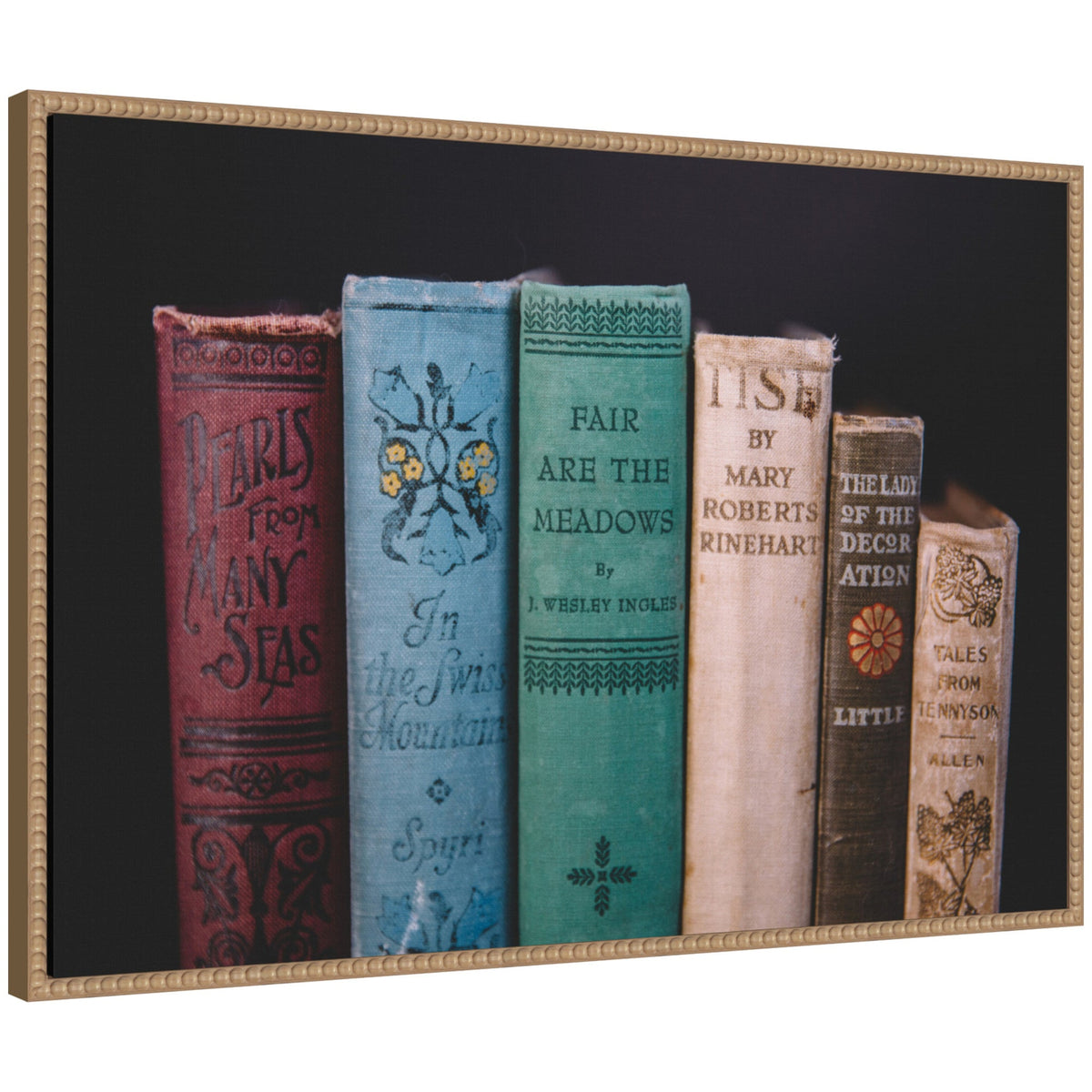 Sylvie Vintage Classic Books Framed Canvas by Patricia Hasz