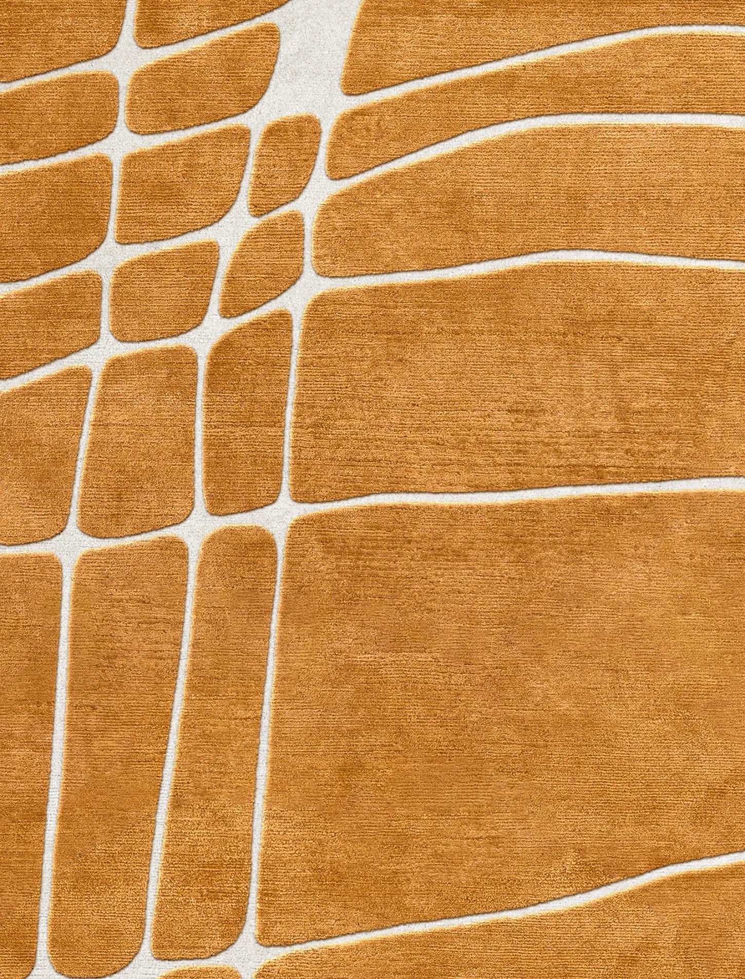 Marrone image 1