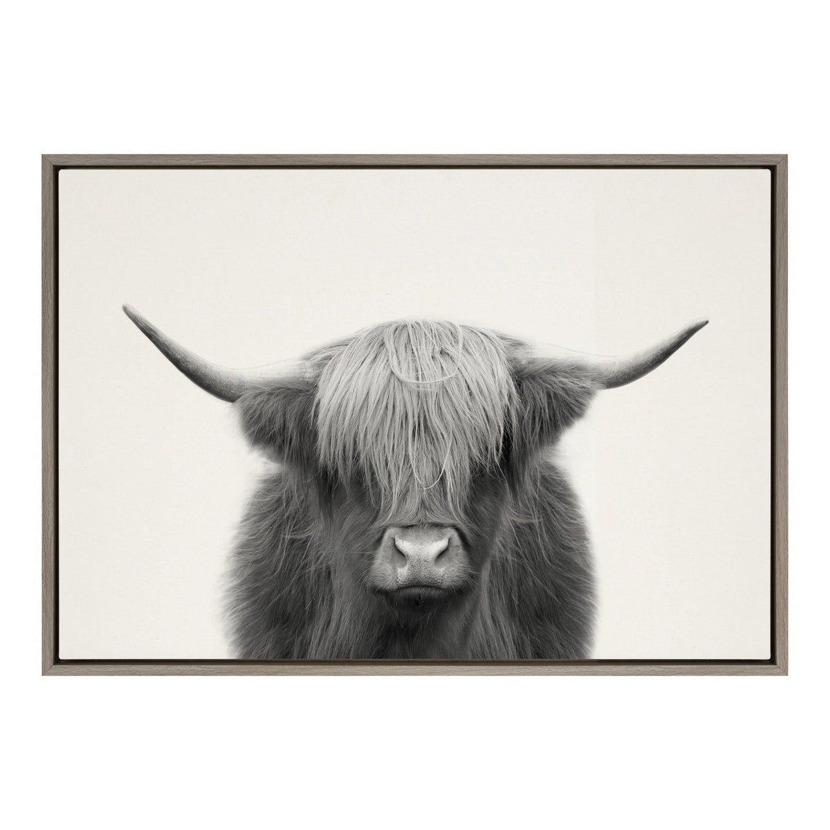 Sylvie Hey Dude Highland Cow Framed Linen Canvas by The Creative Bunch Studio