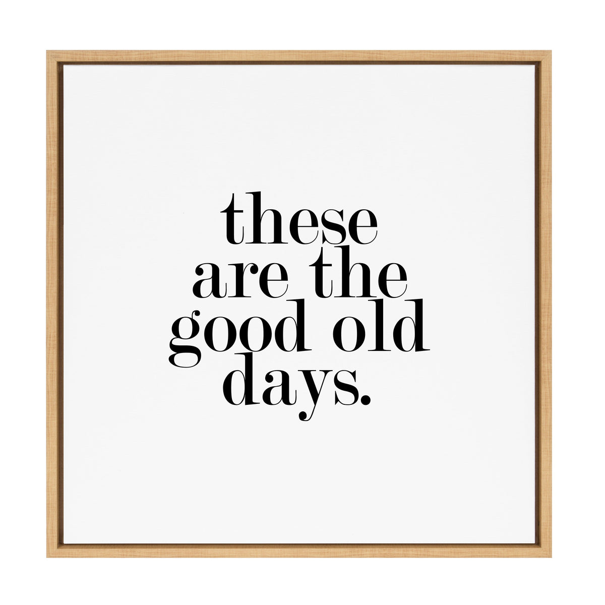 Sylvie Good Old Days Framed Canvas by Maggie Price of Hunt and Gather Goods