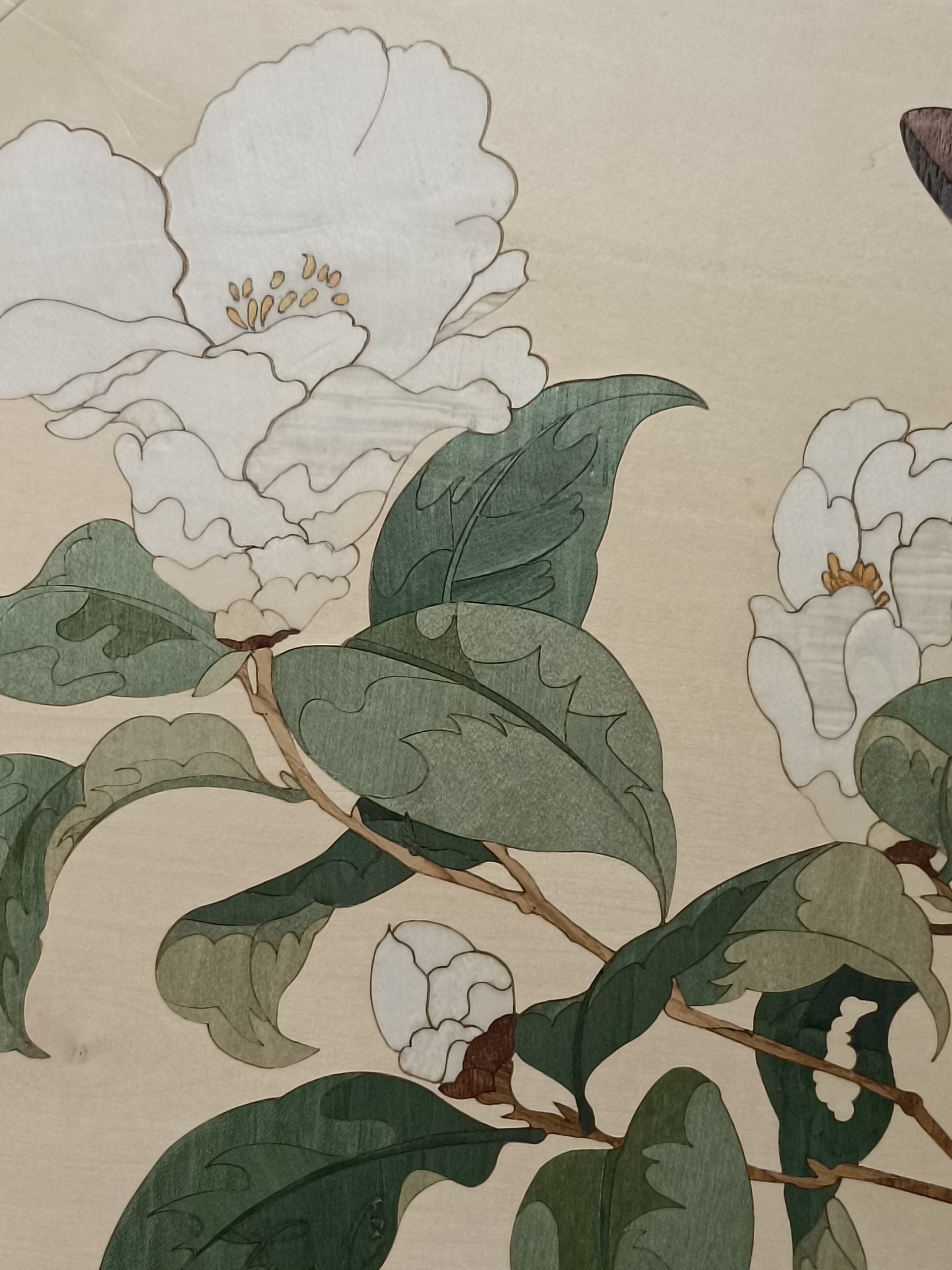 Camellia image 3