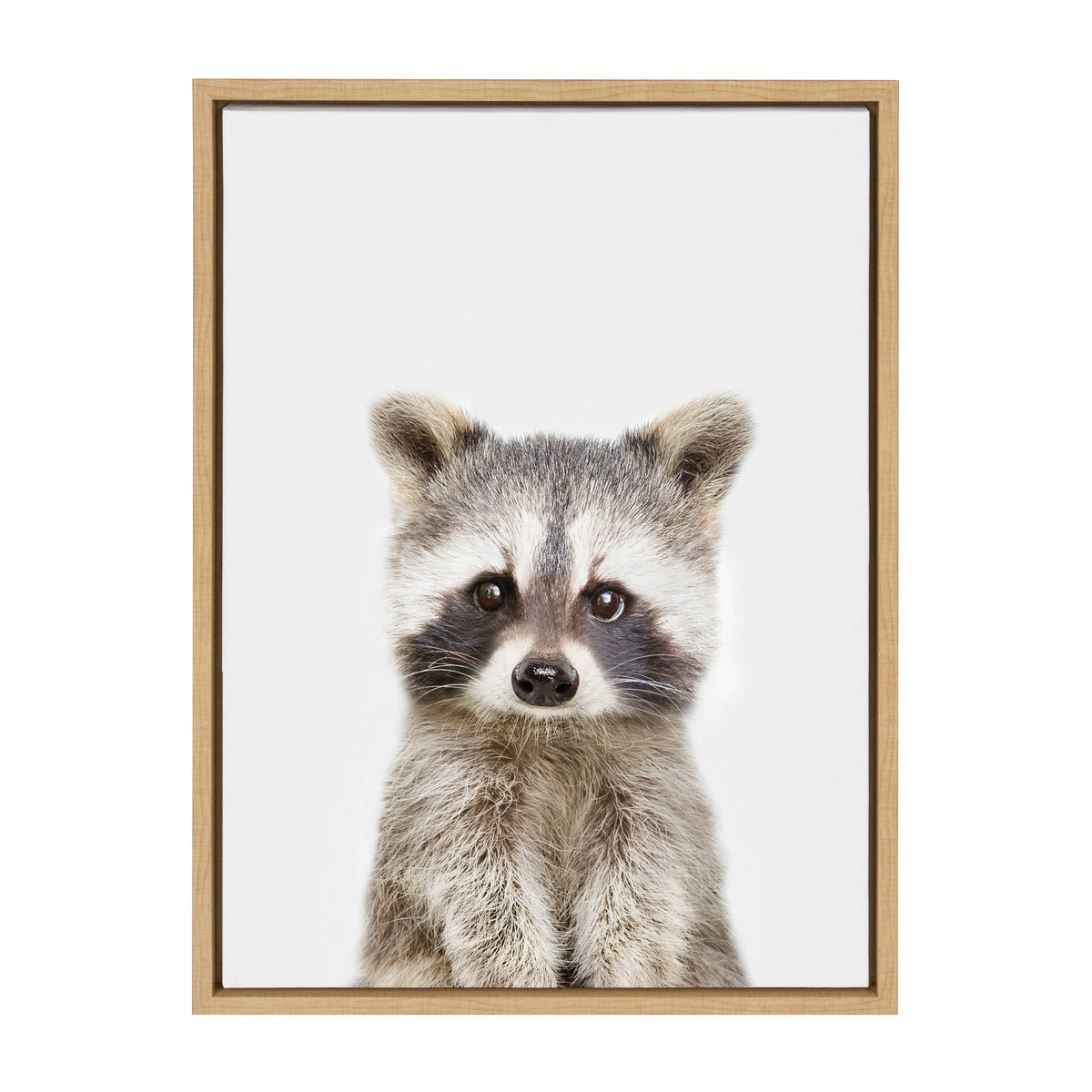 Sylvie Raccoon Framed Canvas by Amy Peterson Art Studio