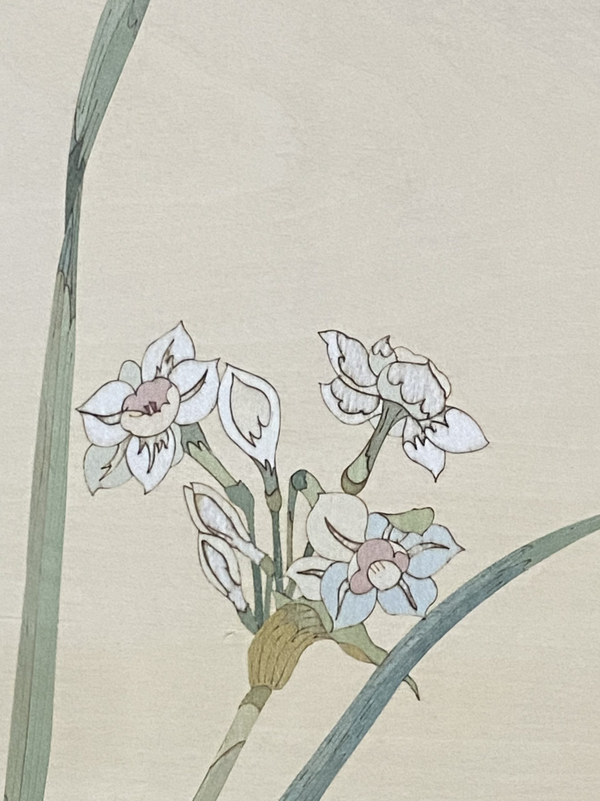 Orchid image 3