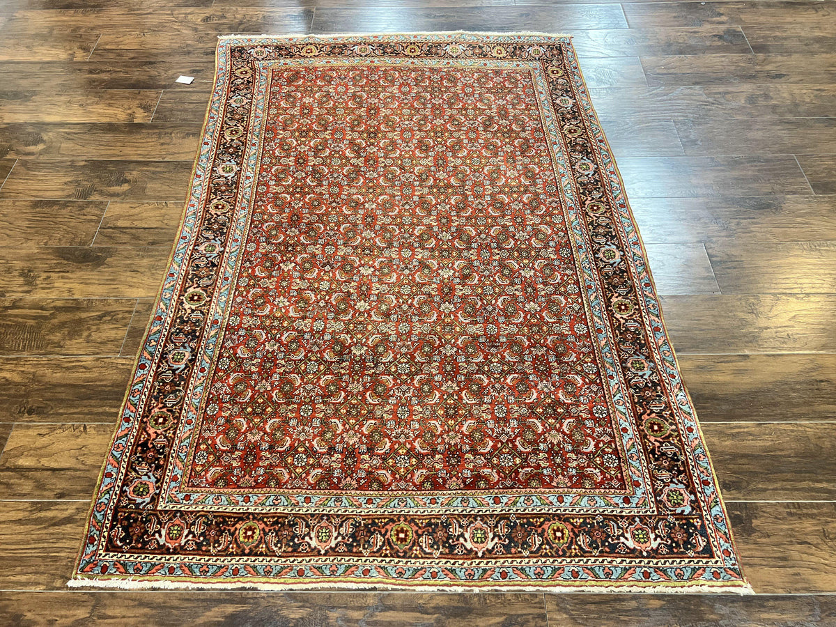 Antique Persian Bidjar Rug 5x7, Repeated Allover Herati Pattern, Red, Handmade Wool Carpet - Jewel Rugs, view 12