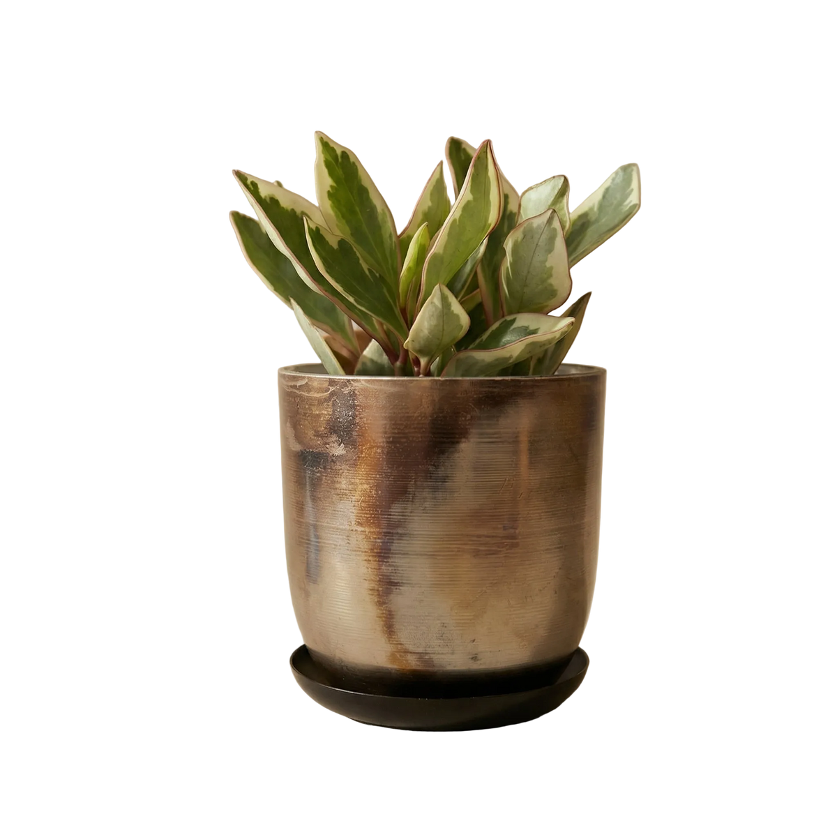 Jo Artisan Patina Brushed Metal Planter - Source by Studio Skara