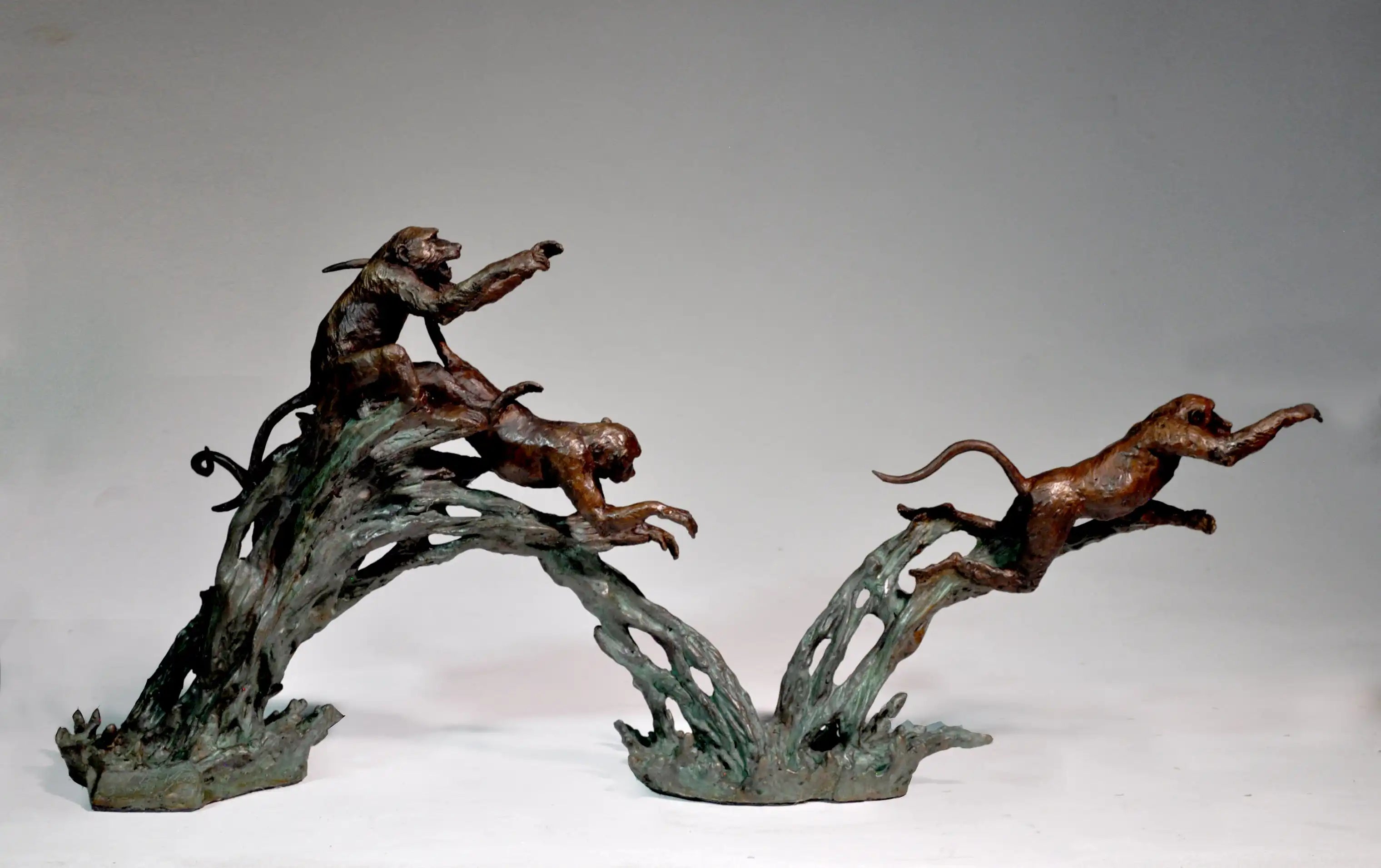 Baboons Crossing