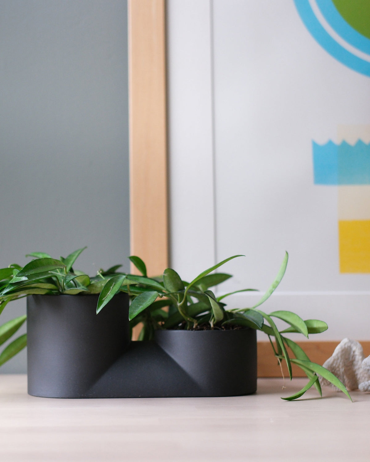 Double Planter - Misewell, view 6