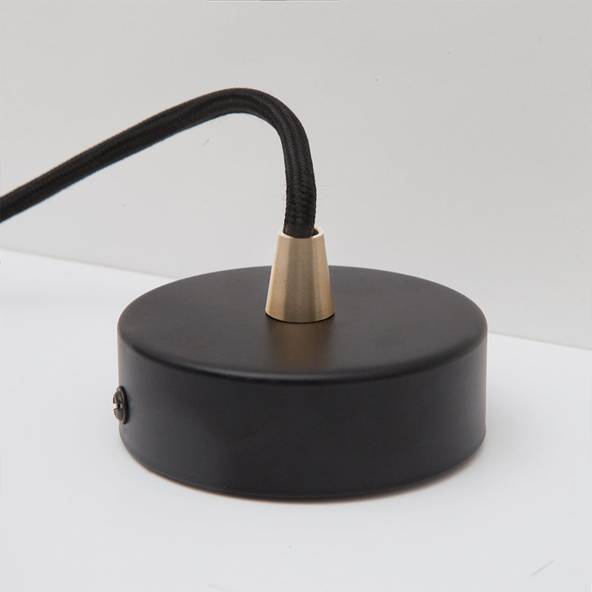 Oval II Pendant Light in Brass