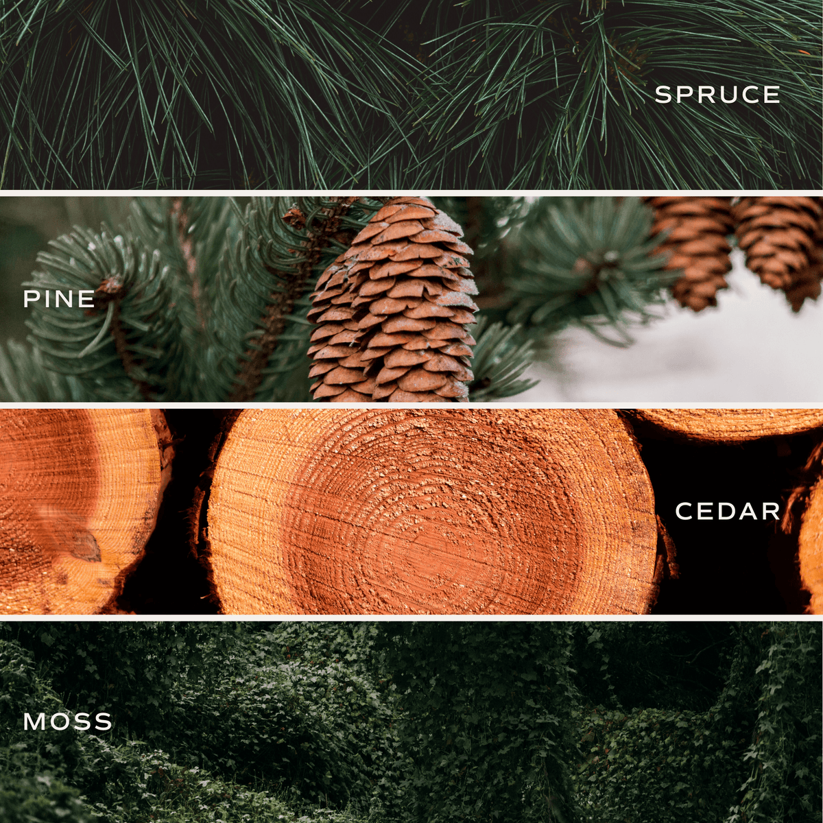 Christmas Tree Farm Soy Candle - Green Matte Jar - 15 oz - Sweet Water Decor, view 3
