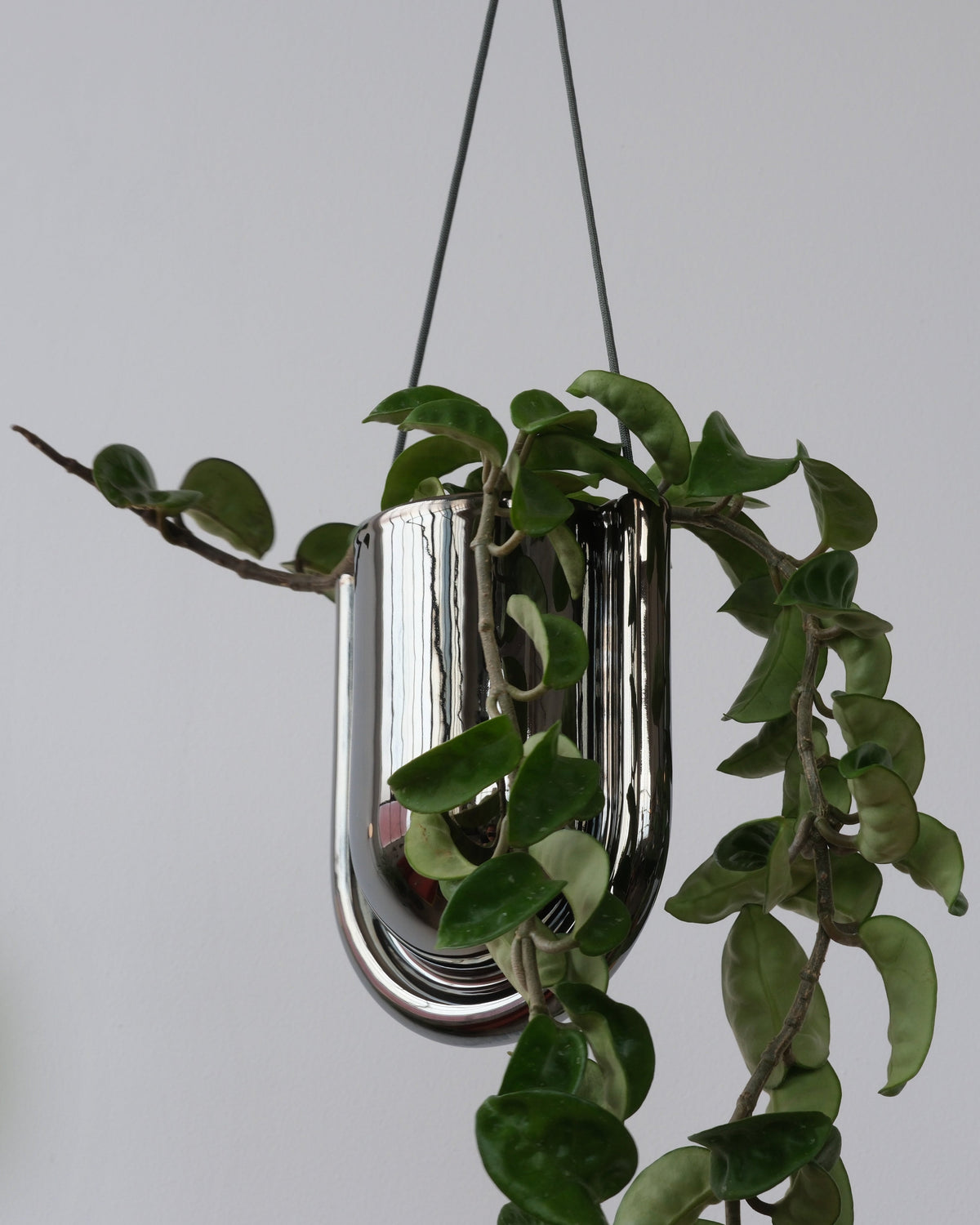 Portico Planter - Chrome - Misewell