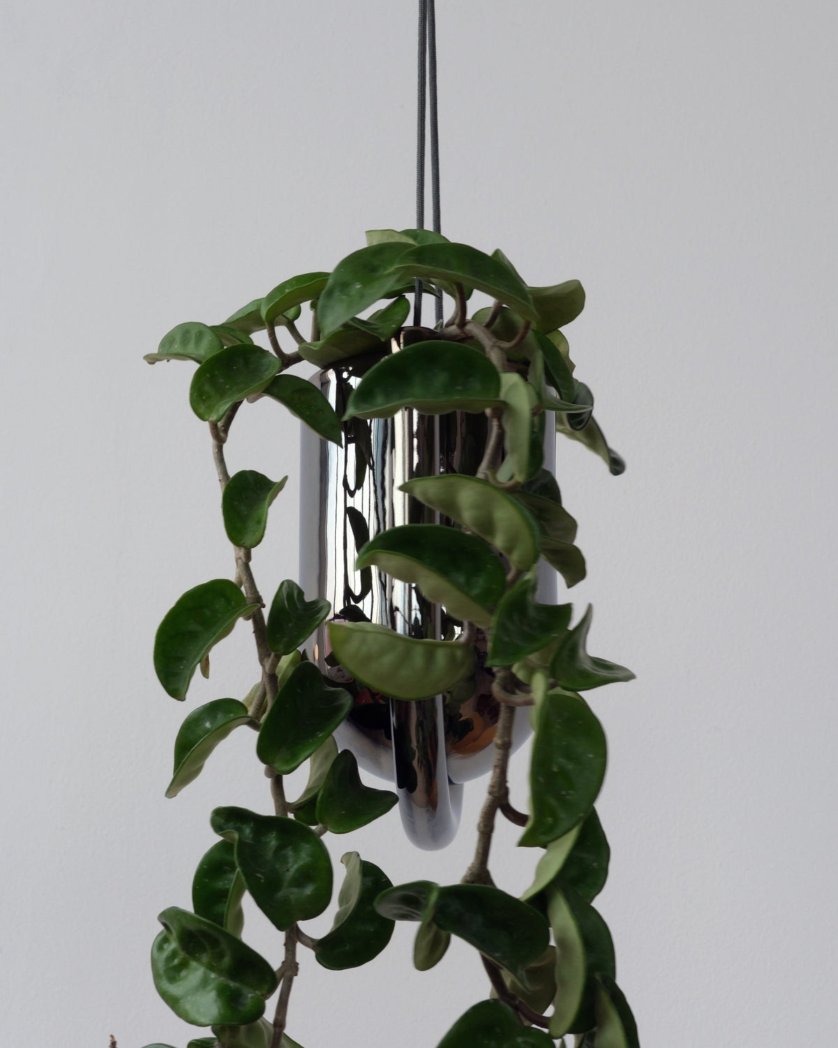 Portico Planter - Misewell, view 7