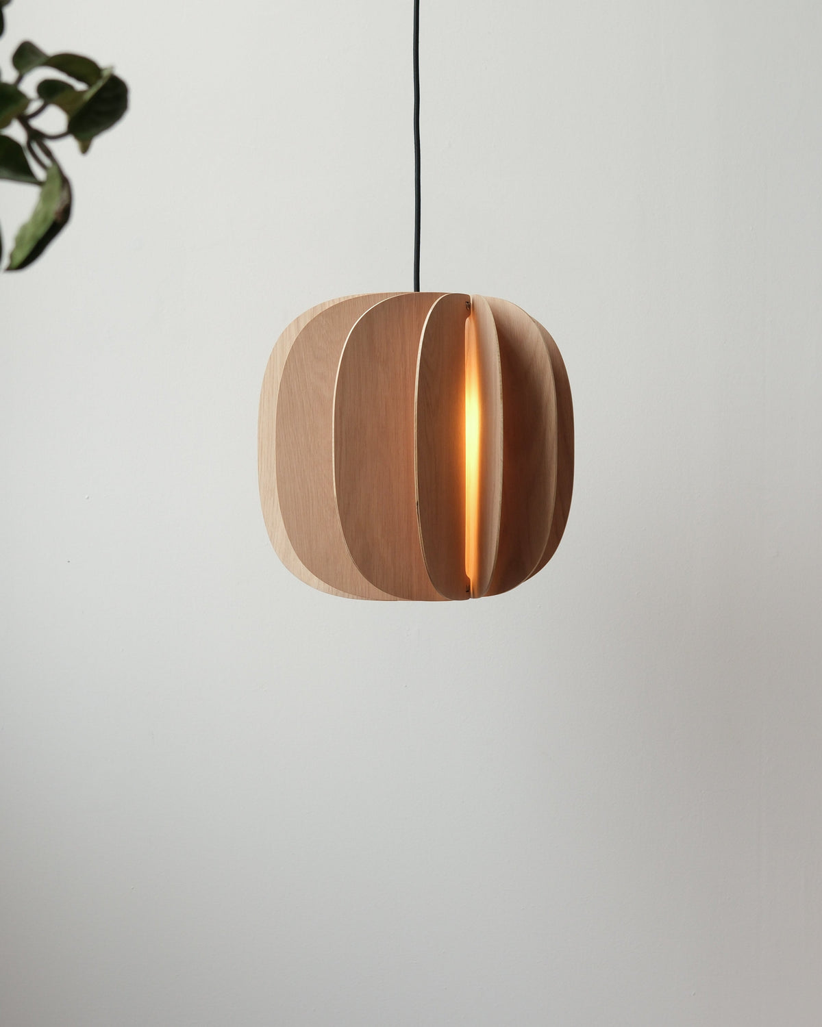 Fin II Pendant - Misewell, view 2
