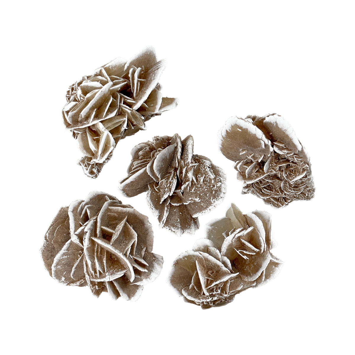 Desert Rose Selenite Cluster - Small - Source by Studio Skara