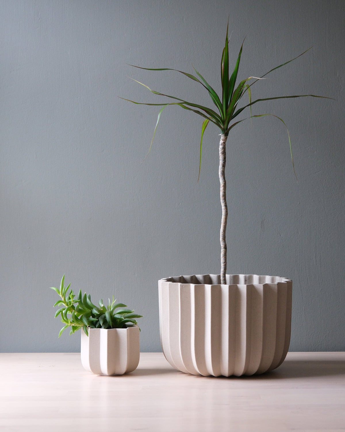 Wrap Planter - 4 sizes - Misewell, view 13