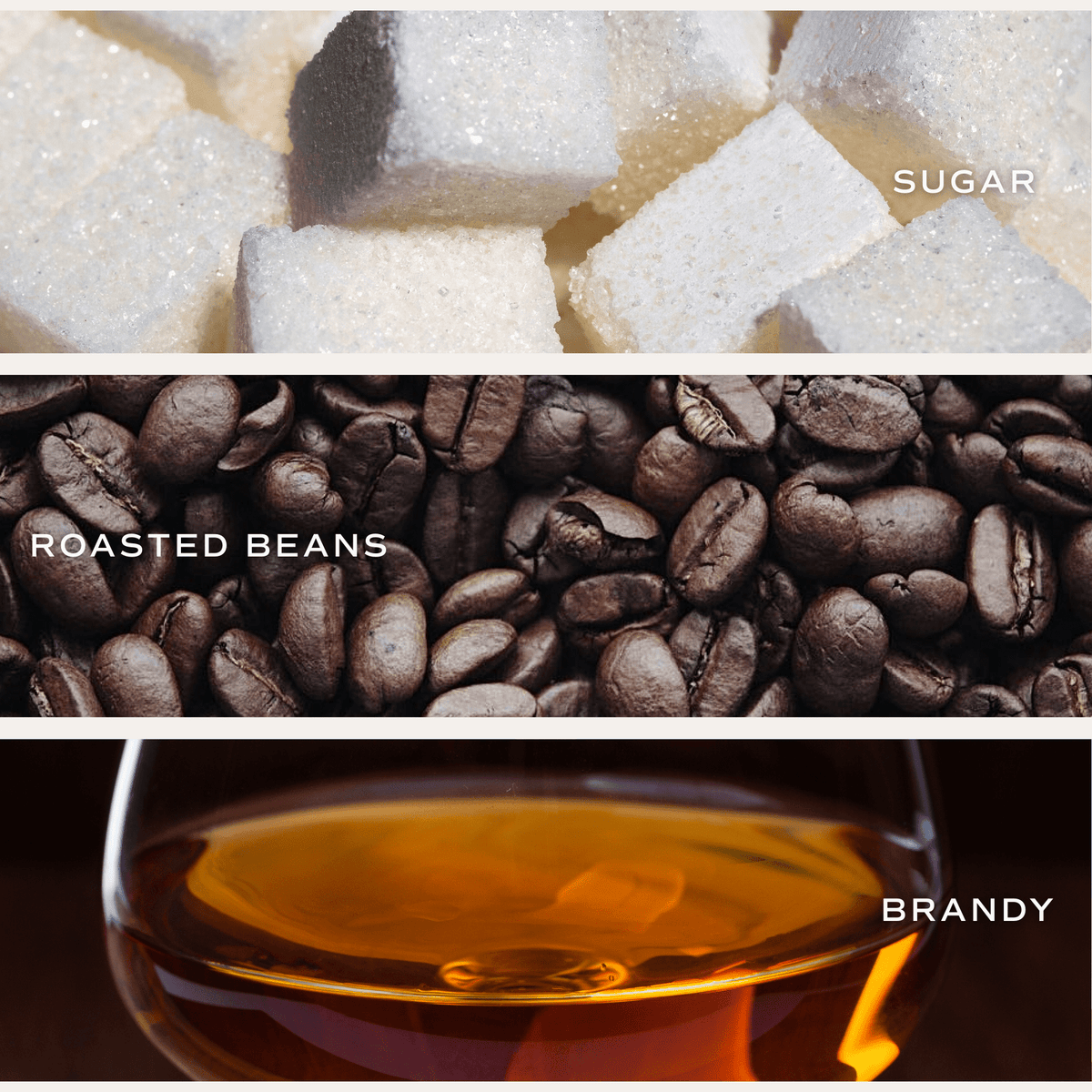 Fresh Coffee Soy Candle - White Jar - 11 oz - Sweet Water Decor, view 3
