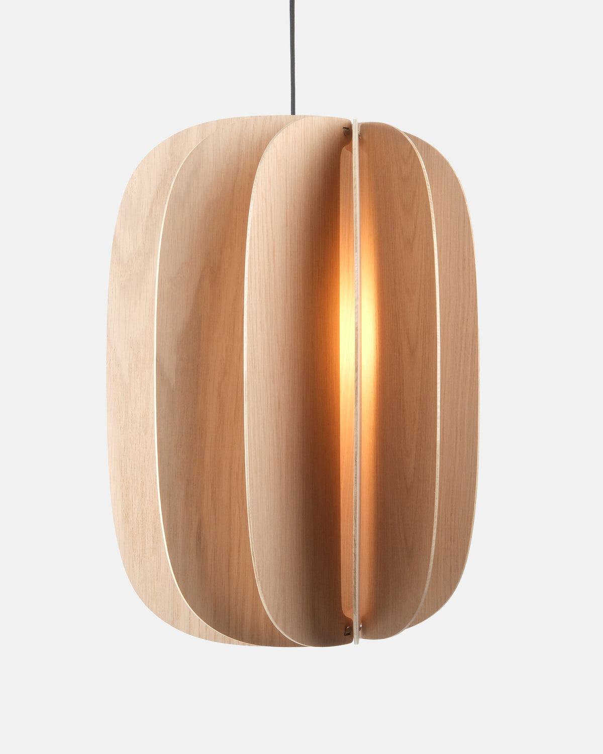 Fin III Pendant - Misewell