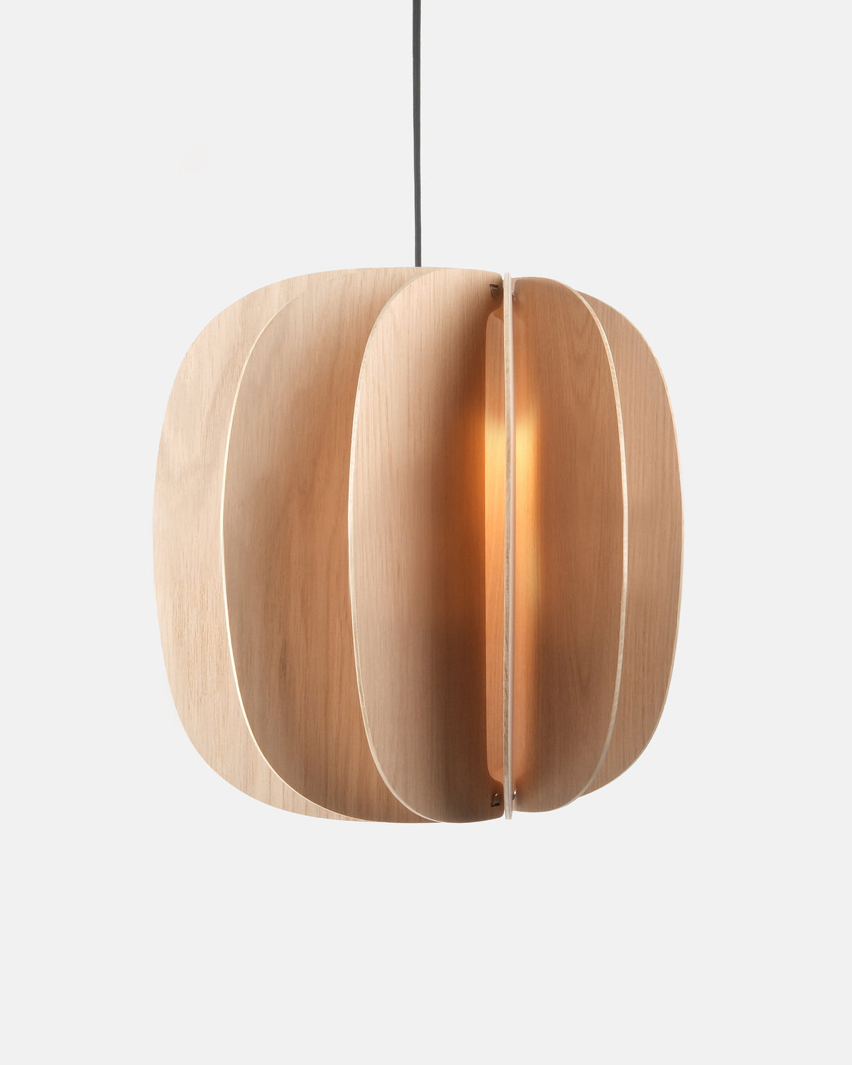 Fin II Pendant - Misewell