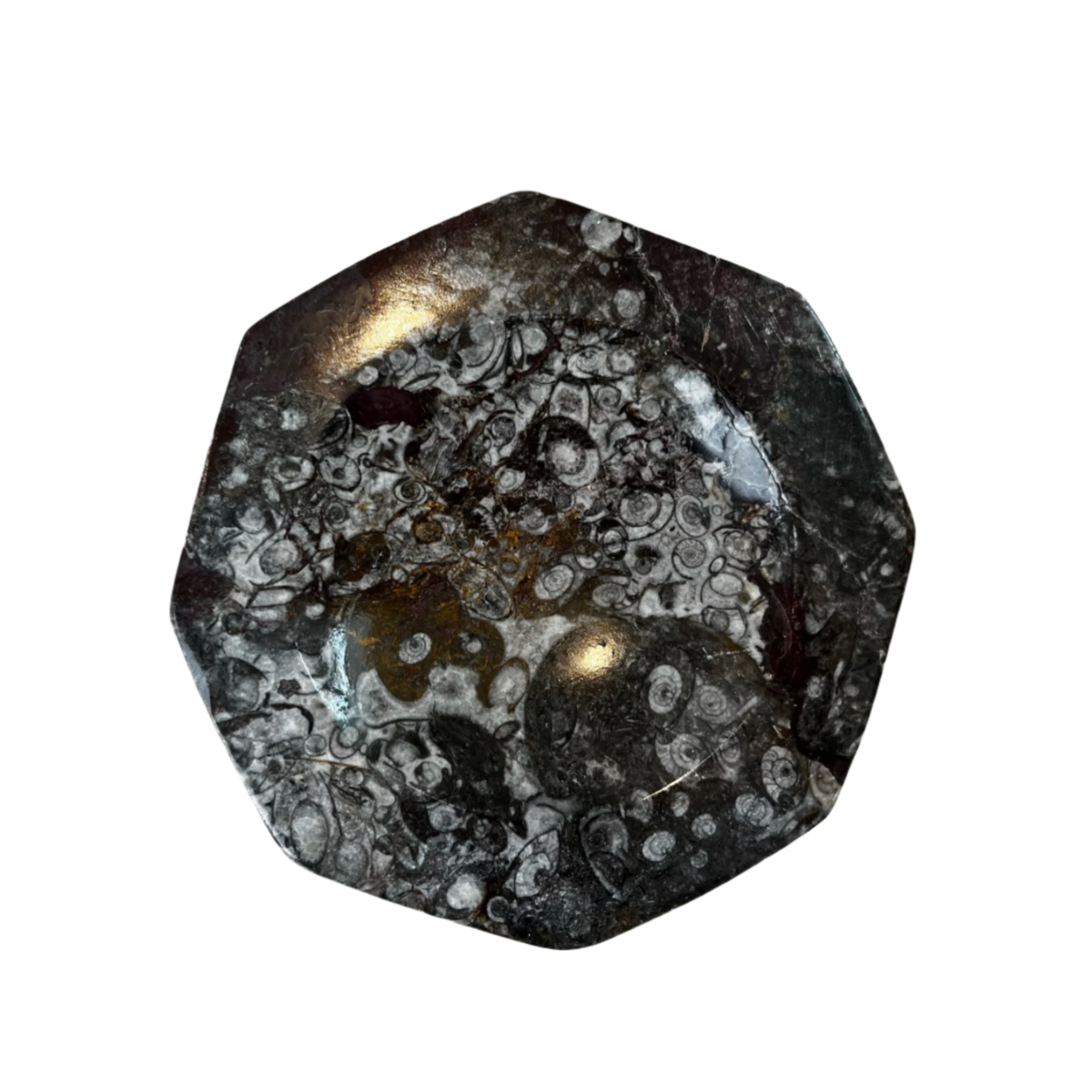 Fossil Stone Dish - Source by Studio Skara, view 2