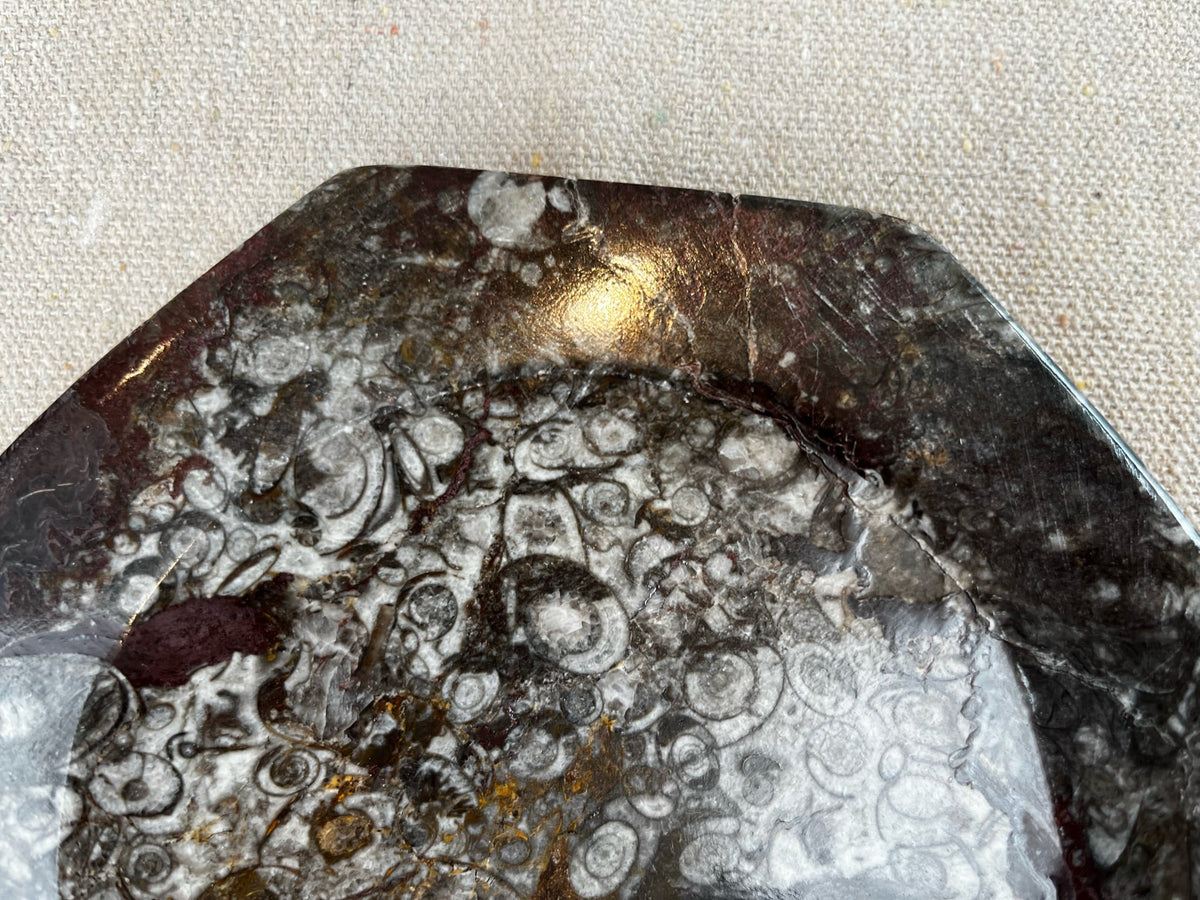 Fossil Stone Dish - Source by Studio Skara, view 6