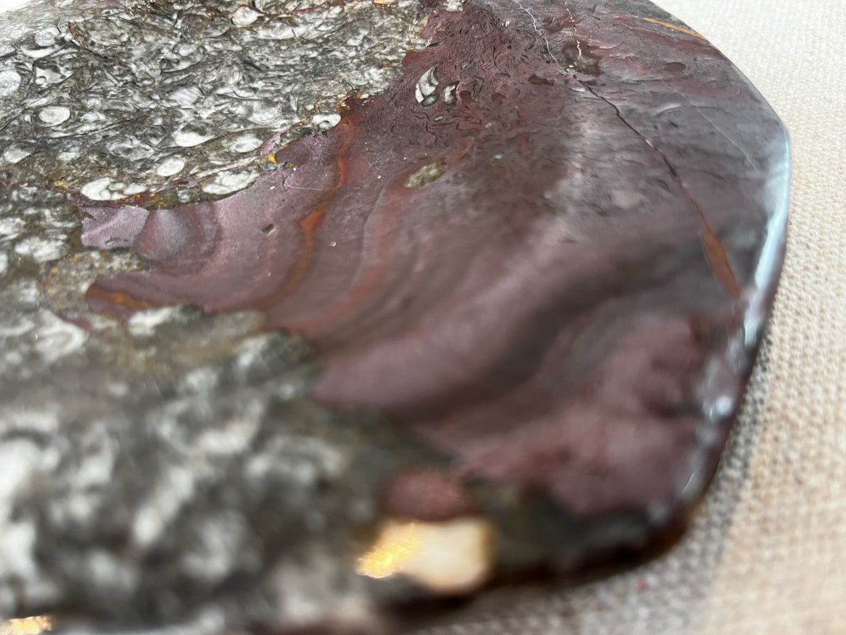 Fossil Stone Dish - Source by Studio Skara, view 8