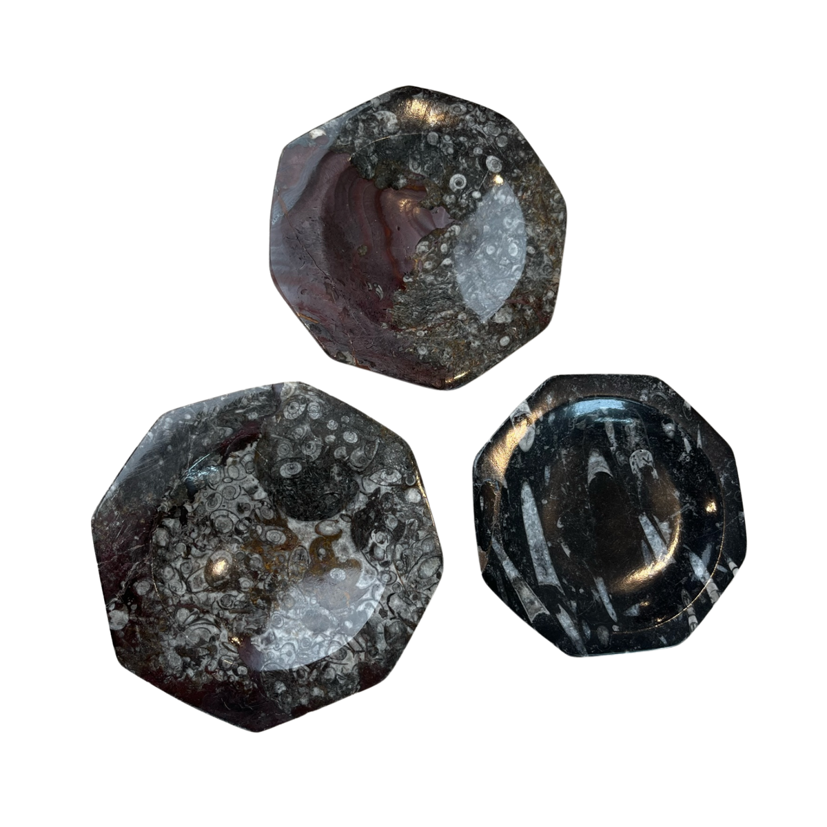 Fossil Stone Dish - Source by Studio Skara