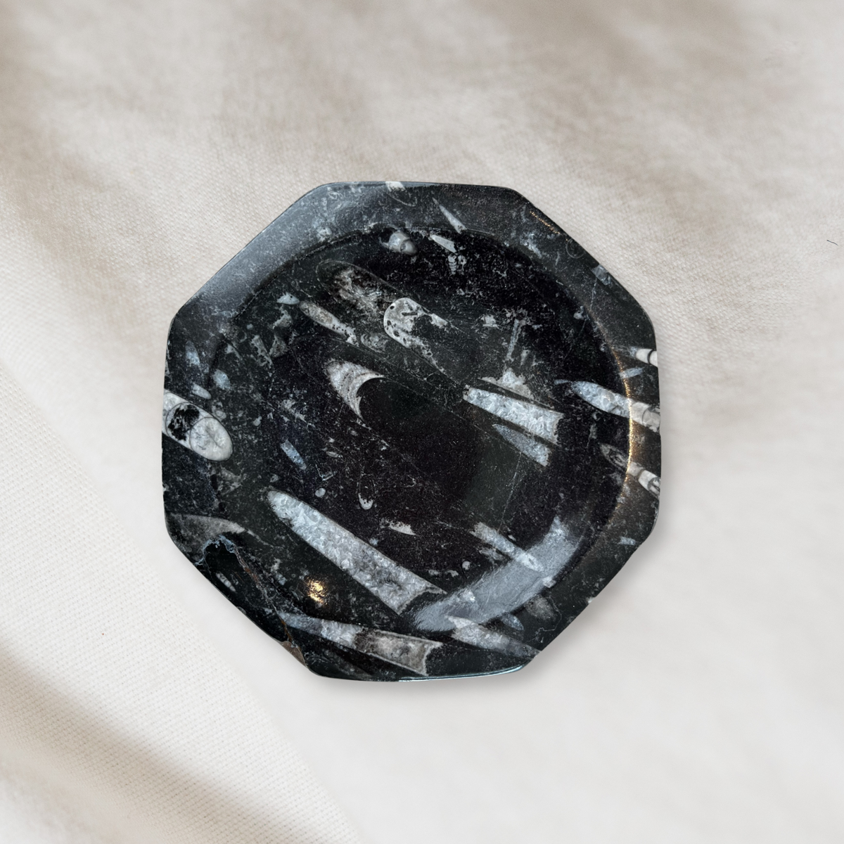 Fossil Stone Dish - Source by Studio Skara, view 5