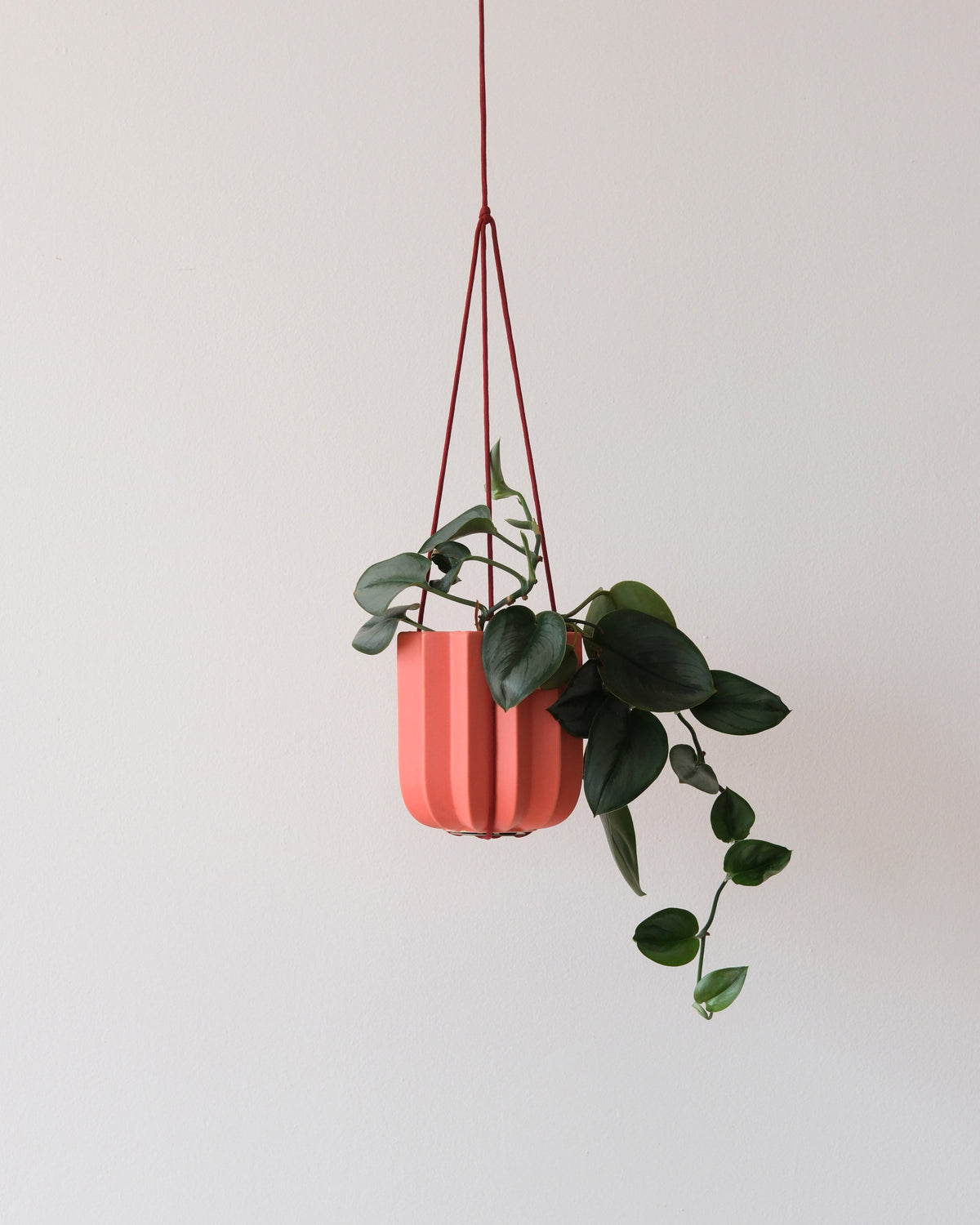 Wrap Hanging Kit - Misewell, view 2