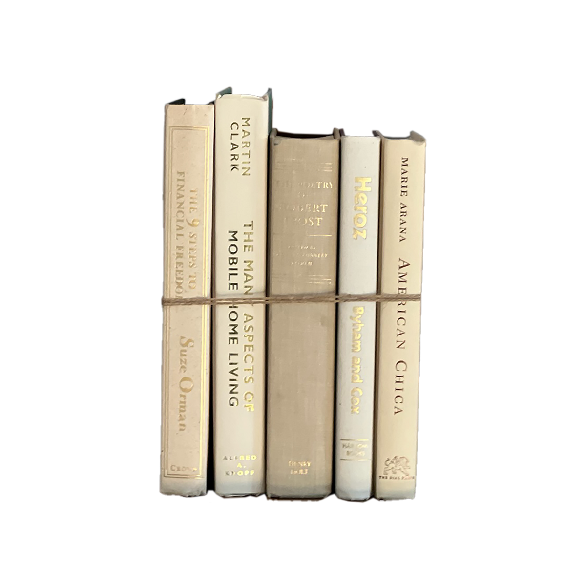 Modern Book Bundle by Color - Source by Studio Skara, view 7