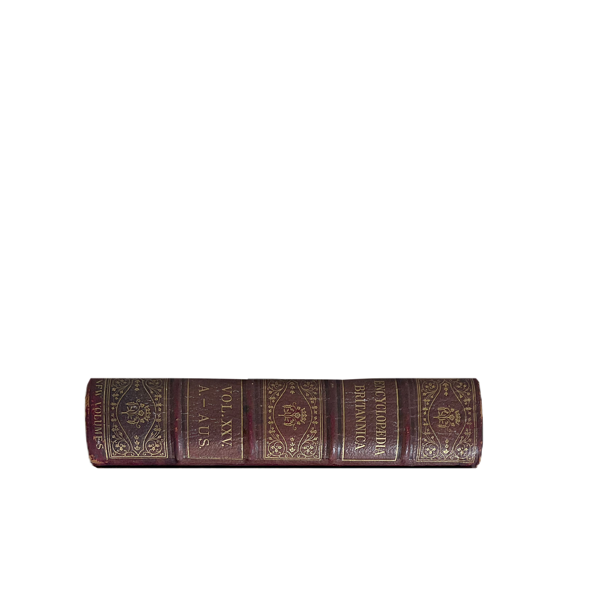 Vintage Books Large - Source by Studio Skara, view 3