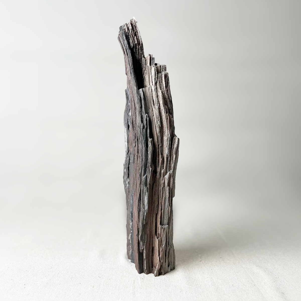 Permineralized Wood - Source by Studio Skara, view 2